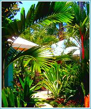 A Mission Beach Shores bungalow amongst tropical gardens