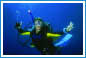 Great Barrier Reef Scuba Diving trips.