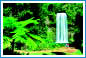 World Heritage Rainforest waterfall.